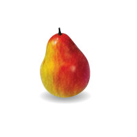 Создание Логотипа В Adobe Illustrator Создание Логотипа В Adobe Illustrator
